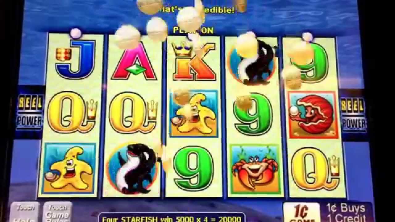 Whales of cash slot machine wins